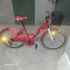 Bicicletta da bimba
