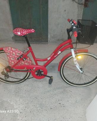 Bicicletta da bimba