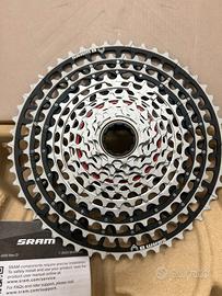 XX SL Eagle Transmission T-Type XS-1299