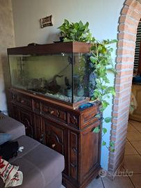 acquario + pesci + arredamento
