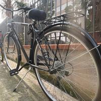 Bicicletta da passeggio