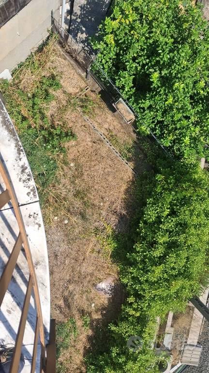 Appartamento – Genova, Fegino, Val Polcevera - Vista 4