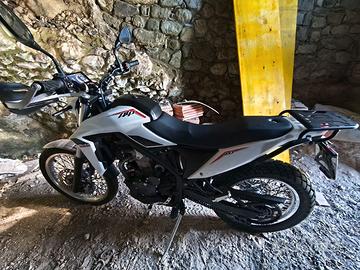 betamotor alp4.0 del 2025.