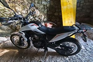 betamotor alp4.0 del 2025.