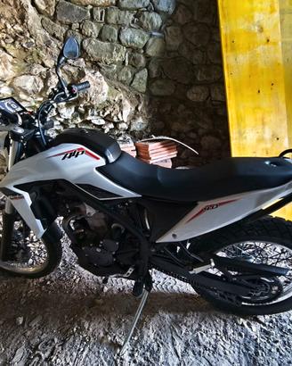 betamotor alp4.0 del 2025.