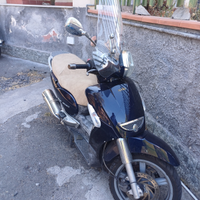 Scarabeo 500