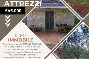 Terreno con deposito attrezzi