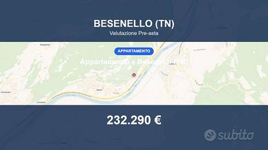 Immobile in asta di 165 m² con box auto doppio a B