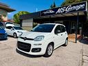 fiat-panda-1-2-neopatentati
