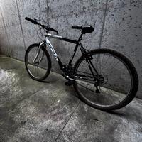 MTB Focus – telaio leggero – pronta all’uso