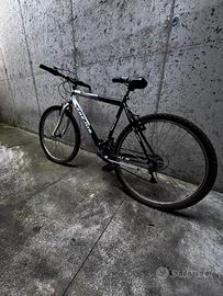 MTB Focus – telaio leggero – pronta all’uso