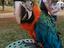 Immagine 4