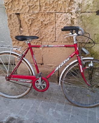 atala anni 70