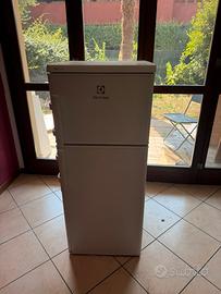 Frigorifero Electrolux 120x50