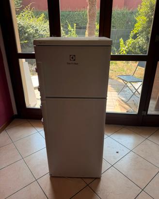 Frigorifero Electrolux 120x50