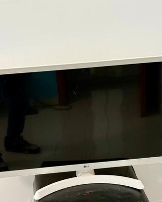 Tv  monitor. Pc  Lg. 17 pollici