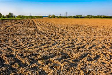 Vedita terreno agricolo