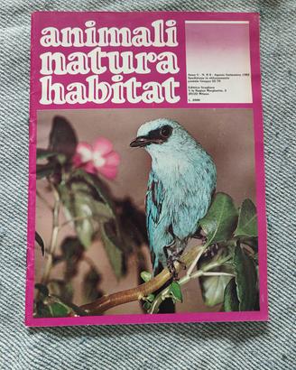 Animali natura habitat 