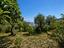 Immagine 25