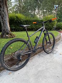 Mtb Focus