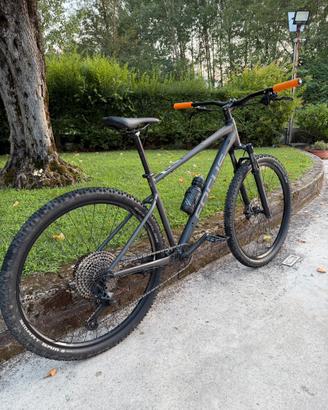 Mtb Focus