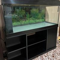 ACQUARIO 300 LITRI