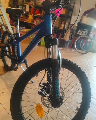 bicicletta bambina / bambino