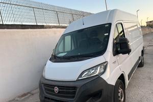 DUCATO PASSO MEDIO