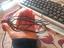 Immagine 2
