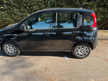 Fiat panda 2025