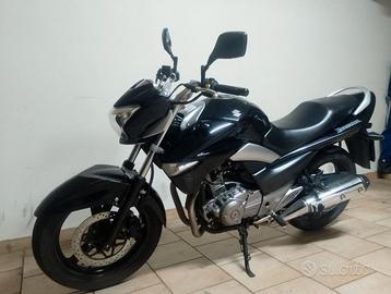 Suzuki Inazuma 250 bicilindrica
