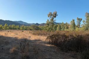 Terreno agricolo di 8.446 mq