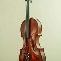 Viola 42