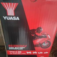 BATTERIA di ricambio AGM SLA Ytx14-bs