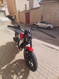 ducati scrambler 