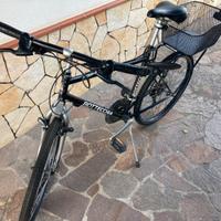 Bici bottecchia