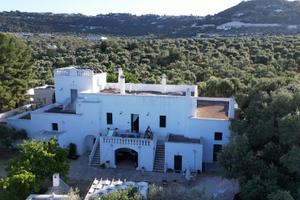 Masseria - Fasano