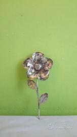 Spargitalco fiore pansè - Brandimarte, Firenze