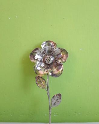 Spargitalco fiore pansè - Brandimarte, Firenze