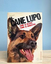 IL CANE LUPO