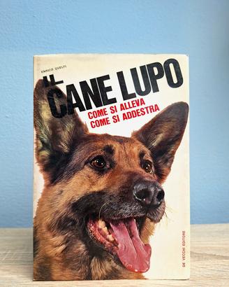IL CANE LUPO