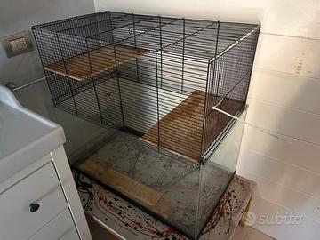 Gabbia per roditori