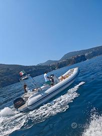 Gommone domar 2024 - 6.5 mt