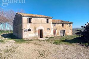 Rustico/Casale/Corte Corinaldo [SV04648VRG]