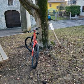 MTB LOMARDO S270