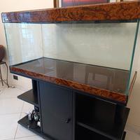 Acquario aperto "Sera"