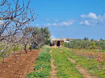 VILLA SINGOLA A CONVERSANO
