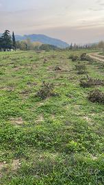 Terreno agricolo