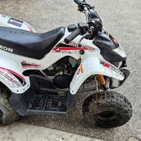 AEON Minikolt 50 mini quad