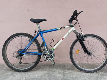 Bici MTB ragazzini 24"